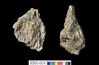 藏品(礫岩)的圖片